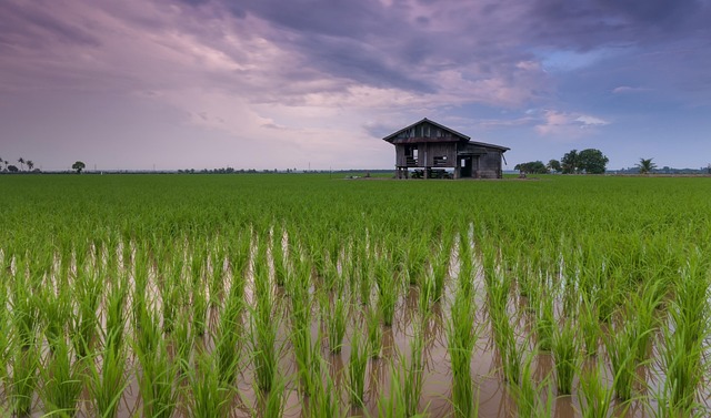 Arkitekttegnet sommerhus i klitterne med fokus på form, funktion og oplevelse